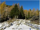 Planina Ravne - Kocbekov dom na Korošici